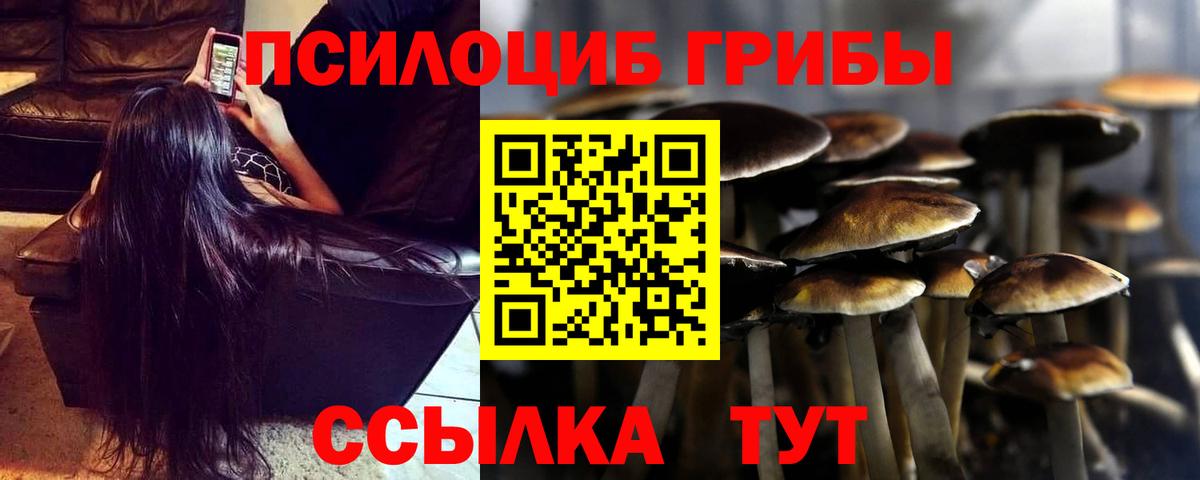 Балаково  Галлюциногенные грибы прущие грибы  Псилоцибиновые грибы ЛСД  Вход с VPN 